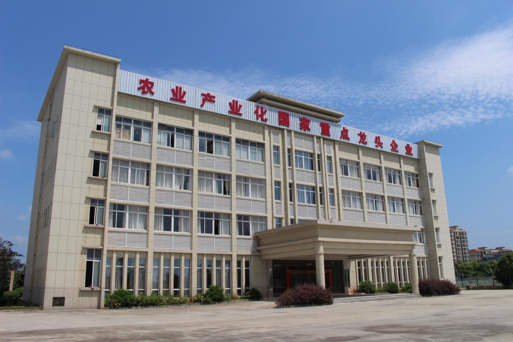 m88登录入口官网
