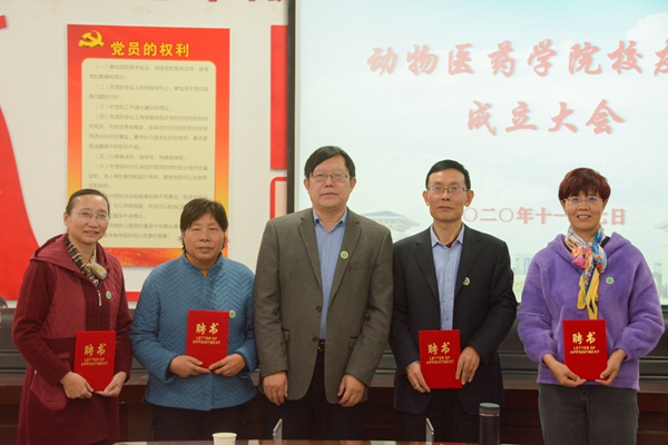 m88登录入口官网