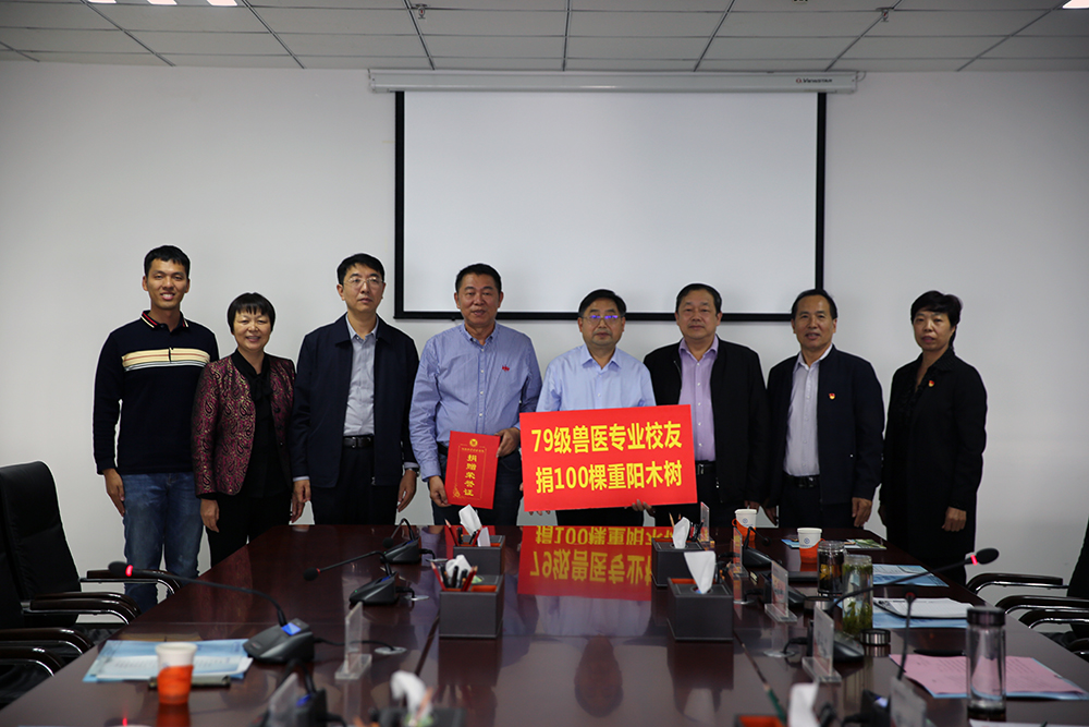 m88登录入口官网