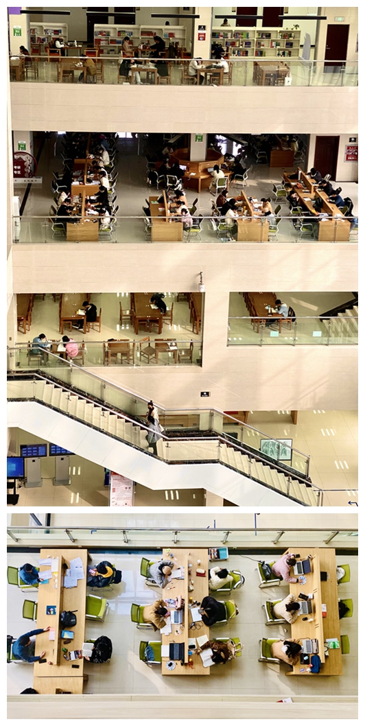 m88登录入口官网