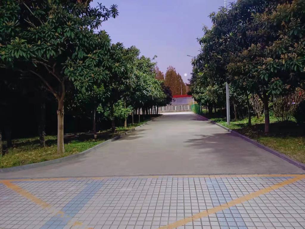m88登录入口官网